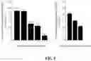 Fig. 07 - NOVEL POLYSACCHARIDE-BASED HYDROGEL SCAFFOLDS FOR WOUND CARE