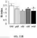 Fig. 49 - CRYOGEL BIOSCAFFOLD