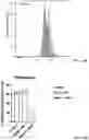 Fig. 22 - NANOPROJECTION DEVICES AS WELL AS METHODS OF MAKING AND USING SUCH DEVICES