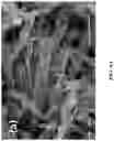Fig. 07 - Azole-functionalized silica adsorbent
