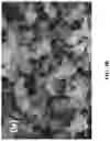 Fig. 08 - Azole-functionalized silica adsorbent