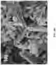 Fig. 10 - Azole-functionalized silica adsorbent