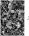Fig. 11 - Azole-functionalized silica adsorbent