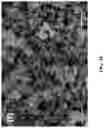 Fig. 12 - Azole-functionalized silica adsorbent