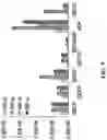 Fig. 18 - Azole-functionalized silica adsorbent