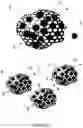 Fig. 02 - Powder for laser sintering, and use