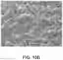 Fig. 20 - LAMINATING AND SHAPING COPPER POWDER, LAMINATED AND SHAPED OBJECT, MANUFACTURING METHOD OF LAMINATED AND SHAPED OBJECT, AND LAMINATING AND SHAPING APPARATUS