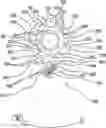 Fig. 01 - Multiple pawl ratchet mechanism