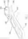 Fig. 02 - Multiple pawl ratchet mechanism