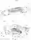 Fig. 02 - Vehicle mounting system