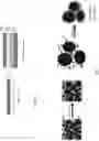 Fig. 07 - High temperature sintering systems and methods