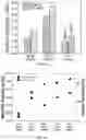 Fig. 04 - MONOLITHIC AND FRACTAL CARBON FOAMS AND METHODS OF PREPARING AND USING SAME
