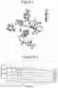 Fig. 02 - SYNTHESIS OF KEY INTERMEDIATE OF KRAS G12C INHIBITOR COMPOUND