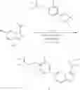 Fig. 79 - 3-(ethoxydifluoromethyl)-6-(5-fluoro-6-(2,2,2-trifluoroethoxy)pyridin-3-yl)-[1,2,4]triazolo[4,3-a]pyridine as an ion channel modulator