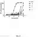 Fig. 04 - HIGHLY SELECTIVE AND POTENT NPP1 INHIBITORS BASED ON URIDINE-5'-P,-DITHIOPHOSPHATE ANALOGUES