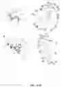 Fig. 05 - HIGHLY SELECTIVE AND POTENT NPP1 INHIBITORS BASED ON URIDINE-5'-P,-DITHIOPHOSPHATE ANALOGUES