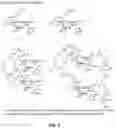 Fig. 08 - MULTIMERIC PAN-SELECTIN ANTAGONISTS