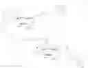 Fig. 124 - MULTIMERIC PAN-SELECTIN ANTAGONISTS