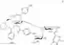 Fig. 147 - MULTIMERIC PAN-SELECTIN ANTAGONISTS
