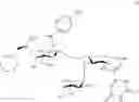 Fig. 148 - MULTIMERIC PAN-SELECTIN ANTAGONISTS