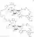 Fig. 158 - MULTIMERIC PAN-SELECTIN ANTAGONISTS