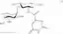 Fig. 161 - MULTIMERIC PAN-SELECTIN ANTAGONISTS