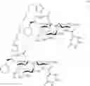 Fig. 166 - MULTIMERIC PAN-SELECTIN ANTAGONISTS