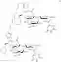 Fig. 167 - MULTIMERIC PAN-SELECTIN ANTAGONISTS