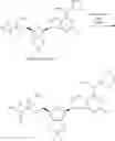 Fig. 428 - CD73 inhibitors