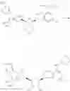 Fig. 461 - CD73 inhibitors