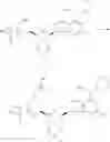 Fig. 463 - CD73 inhibitors