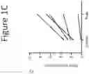 Fig. 04 - METHODS AND COMPOSITIONS FOR STIMULATION OF THE INTESTINAL ENTEROENDOCRINE SYSTEM FOR TREATING DISEASES OR CONDITIONS RELATED TO THE SAME