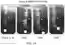 Fig. 02 - Polypeptides including a beta-tricalcium phosphate-binding sequence and uses thereof