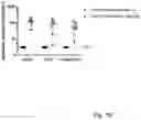Fig. 03 - FimH mutants, compositions therewith and use thereof