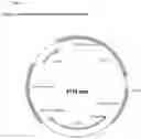 Fig. 24 - Constitutive Yeast LLP Promotor-Based Expression Systems