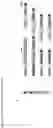 Fig. 07 - A GENETICALLY ENCODED PROTEIN SYNTHESIS INHIBITOR