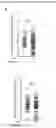 Fig. 10 - A GENETICALLY ENCODED PROTEIN SYNTHESIS INHIBITOR