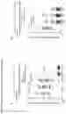 Fig. 17 - A GENETICALLY ENCODED PROTEIN SYNTHESIS INHIBITOR