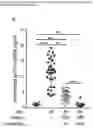 Fig. 20 - A GENETICALLY ENCODED PROTEIN SYNTHESIS INHIBITOR