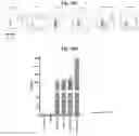 Fig. 12 - AAV CAPSID CHIMERIC ANTIGEN RECEPTORS AND USES THEREOF