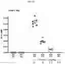 Fig. 09 - PROGRANULIN VARIANTS