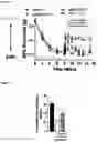Fig. 04 - FUSION PROTEIN COMPRISING IL13