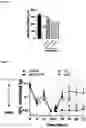 Fig. 05 - FUSION PROTEIN COMPRISING IL13