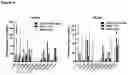 Fig. 07 - FUSION PROTEIN COMPRISING IL13