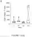 Fig. 03 - NOVEL METHOD