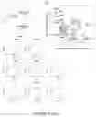 Fig. 08 - NOVEL METHOD