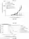 Fig. 09 - IL2 agonists and methods of use thereof
