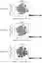 Fig. 22 - IL2 agonists and methods of use thereof