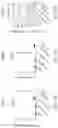 Fig. 28 - IL2 agonists and methods of use thereof