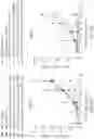 Fig. 49 - IL2 agonists and methods of use thereof